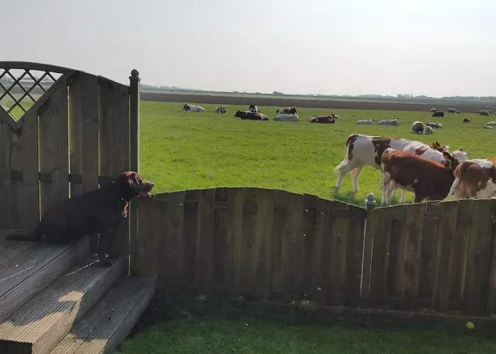 Akkerzicht Appartement